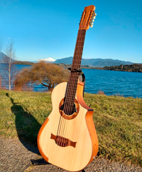 panguipulli